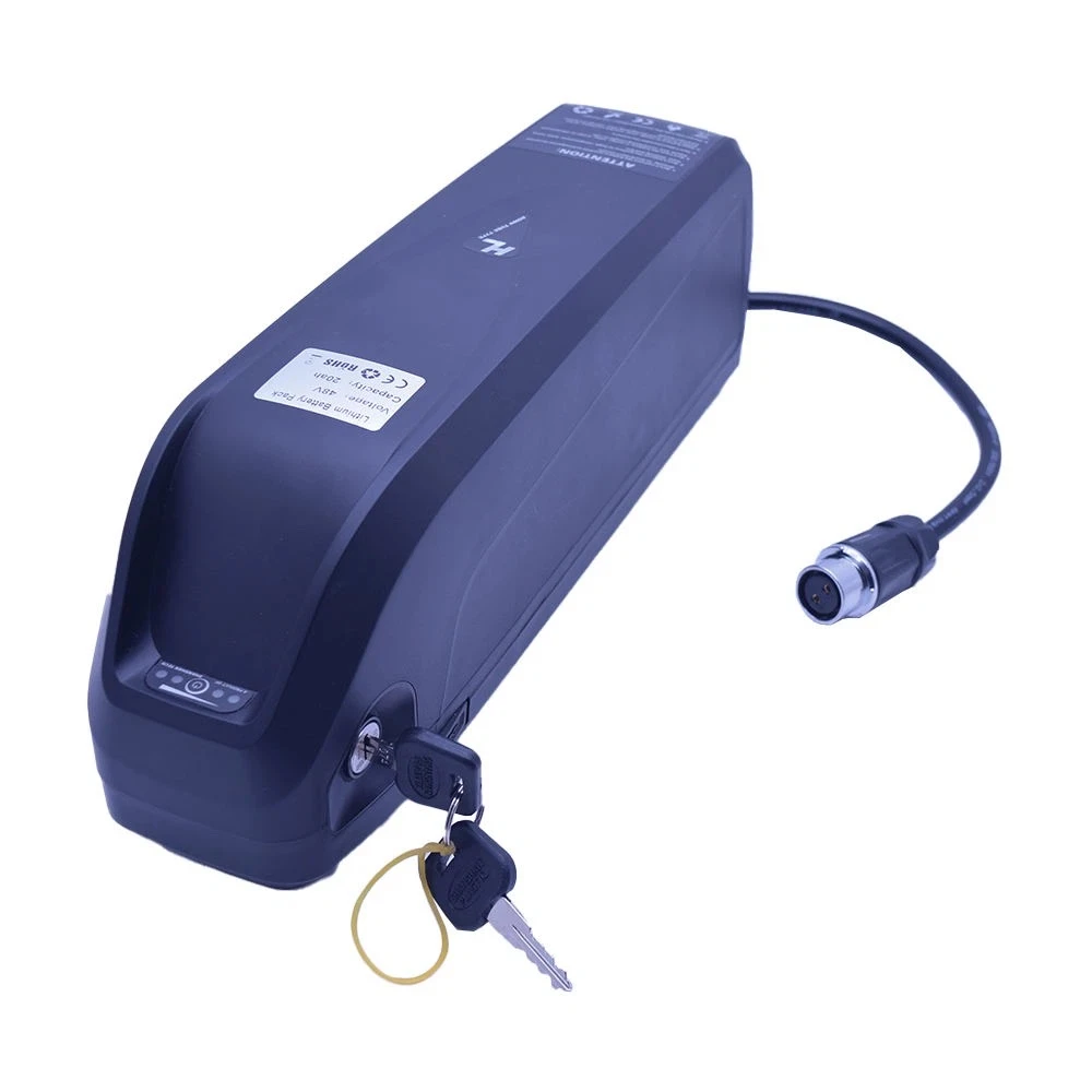 Best 48v 20ah battery ebike 